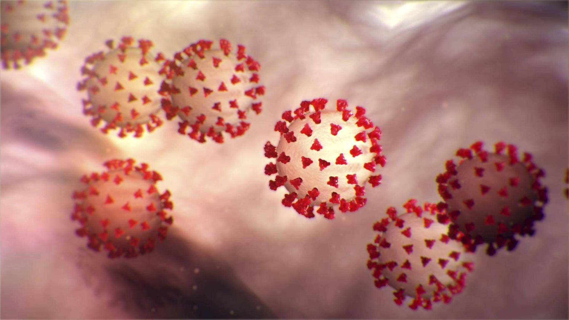 Illustration neuartiger Corona-Viren February 3, 2020, Atlanta, GA, United States of America: Illustration created at the Centers for Disease Control and Prevention showing the ultrastructural morphology exhibited by the Novel Coronavirus 2019-nCoV virus which has caused an outbreak of respiratory illness first detected in Wuhan, China in 2019. Note the spikes that adorn the outer surface of the virus, which impart the look of a corona surrounding the virion, when viewed electron microscope. Atlanta United States of America PUBLICATIONxINxGERxSUIxAUTxONLY - ZUMAp138 20200203zaap138002 Copyright: xCdc/Cdcx Illustration neuartiger Corona-Viren February 3, 2020, Atlanta, GA, United States of America: Illustration created at the Centers for Disease Control and Prevention showing the ultrastructural morphology exhibited by the Novel Coronavirus 2019-nCoV virus which has caused an outbreak of respiratory illness first detected in Wuhan, China in 2019. Note the spikes that adorn the outer surface of the virus, which impart the look of a corona surrounding the virion, when viewed electron microscope. Atlanta United States of America PUBLICATIONxINxGERxSUIxAUTxONLY - ZUMAp138 20200203zaap138002 Copyright: xCdc/Cdcx