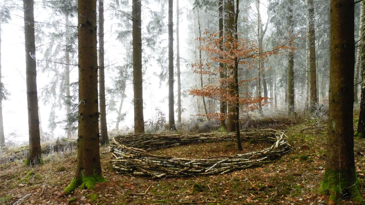 BIRKENKREIS - Landart in einem Wald bei Sigmaringen BIRKENKREIS - Landart in einem Wald bei Sigmaringen