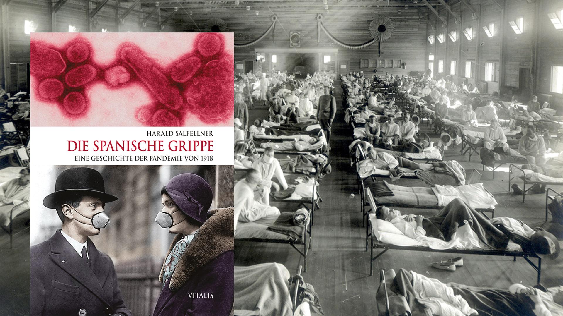 Buchcover Harald Salfellner: "Die Spanische Grippe. Eine Geschichte der Pandemie von 1918". Buchcover Harald Salfellner: "Die Spanische Grippe. Eine Geschichte der Pandemie von 1918".