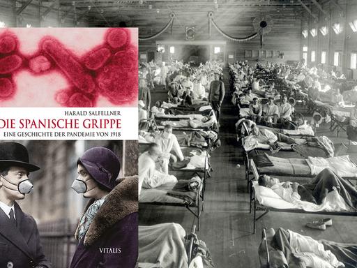 Buchcover Harald Salfellner: "Die Spanische Grippe. Eine Geschichte der Pandemie von 1918".