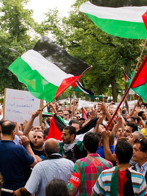 Teilnehmer einer pro-palästinensischen Kundgebung in Berlin schwenken Palästina-Fahnen