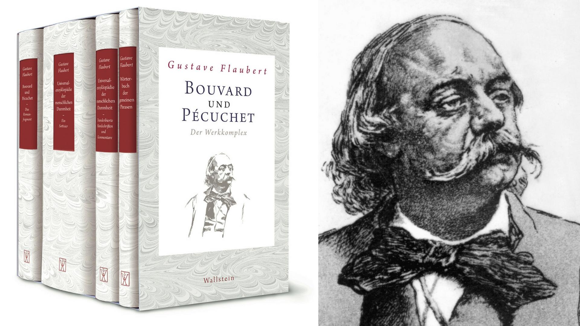 Buchcover: Gustave Flaubert: „Bouvard und Pécuchet. Der Werkkomplex“ Buchcover: Gustave Flaubert: „Bouvard und Pécuchet. Der Werkkomplex“