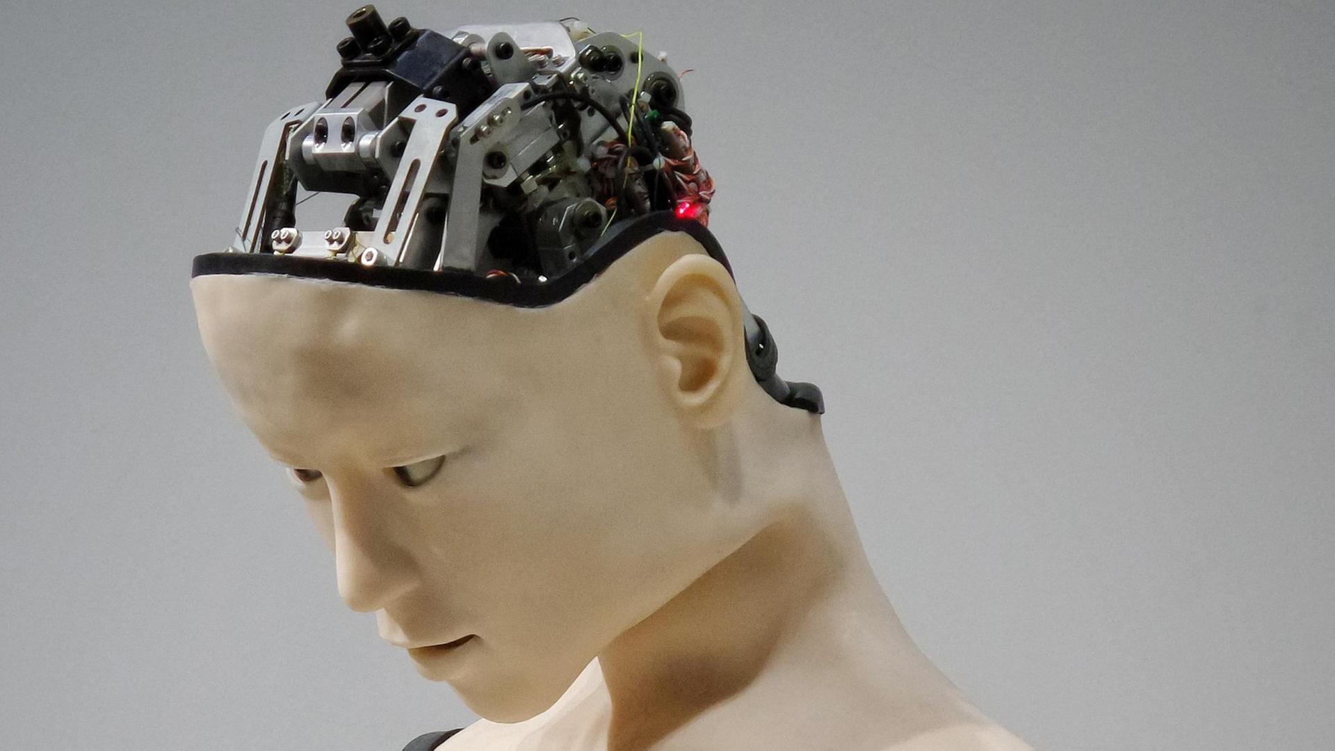 Ein Mannequin oder ein Android mit halbgeöffnete Kopf. Darin Computer-Hardware. Ein Mannequin oder ein Android mit halbgeöffnete Kopf. Darin Computer-Hardware.