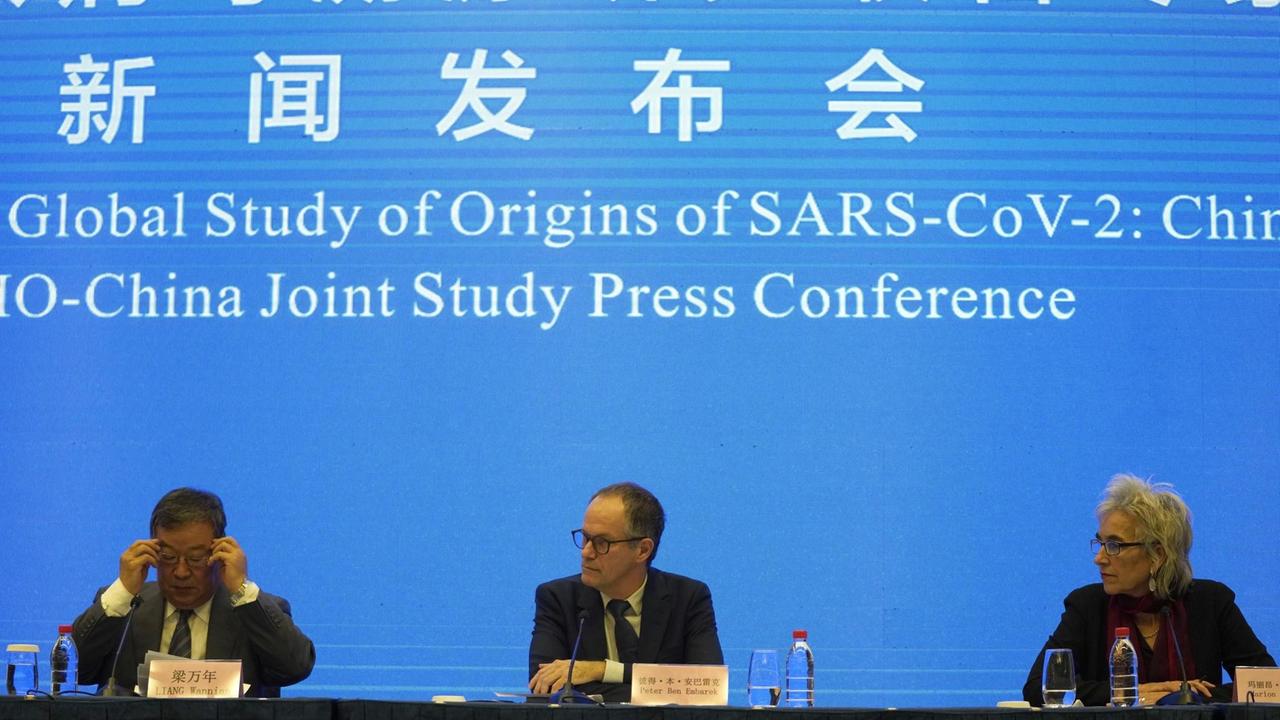 Wuhan: Marion Koopmans (r), Peter Ben Embarek (M) und Liang Wannian (l), Mitglieder eines Teams der Weltgesundheitsorganisation (WHO), geben eine gemeinsame Pressekonferenz. Wuhan: Marion Koopmans (r), Peter Ben Embarek (M) und Liang Wannian (l), Mitglieder eines Teams der Weltgesundheitsorganisation (WHO), geben eine gemeinsame Pressekonferenz.
