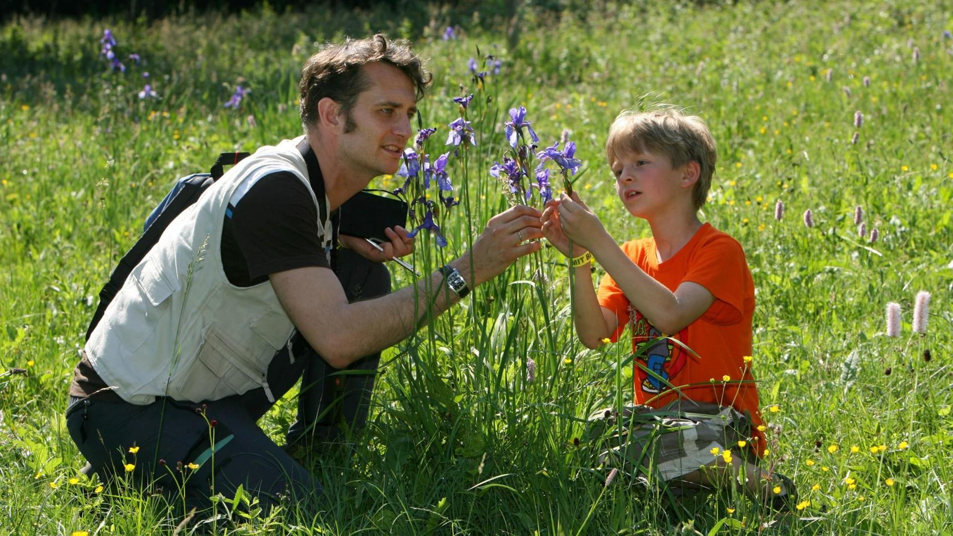 Auf einer Wiese bei Crawinkel (Ilm-Kreis) betrachten der Biologe Andreas Weber und der 7-jährige Max am Samstag (09.06.2007) eine wild gewachsene Sibirische Schwertlilie (Iris sibirica). Auf einer Wiese bei Crawinkel (Ilm-Kreis) betrachten der Biologe Andreas Weber und der 7-jährige Max am Samstag (09.06.2007) eine wild gewachsene Sibirische Schwertlilie (Iris sibirica).