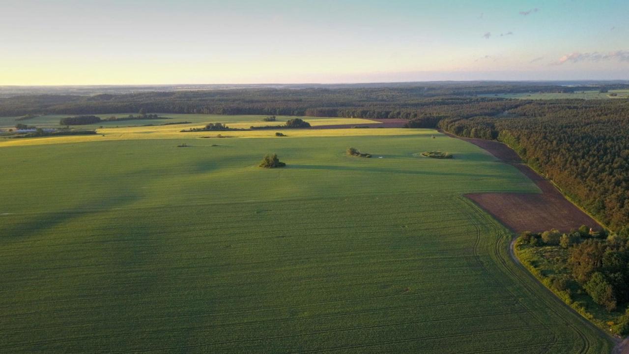 In Norddeutschland finden sich auf vielen Feldern so genannte Toteislöcher, auch Toteiskrater genannt. Sie sind kreisförmige ehemalige Gletschersturkturen. Aufgenommen in der Uckermark am 6. Juni 2017. In Norddeutschland finden sich auf vielen Feldern so genannte Toteislöcher, auch Toteiskrater genannt. Sie sind kreisförmige ehemalige Gletschersturkturen. Aufgenommen in der Uckermark am 6. Juni 2017.