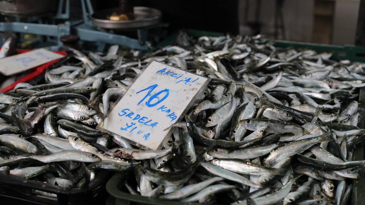 Sardellen auf dem Fischmarkt in Split, Kroatien Sardellen auf dem Fischmarkt in Split, Kroatien