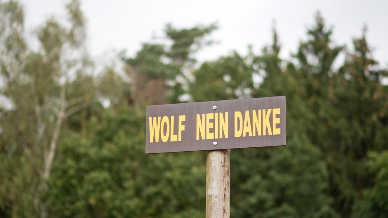 Ein Protestschild "Wolf Nein Danke" steht am 28.09.2016 auf einer Wiese an der Autobahn A27 bei Verden in Niedersachsen.