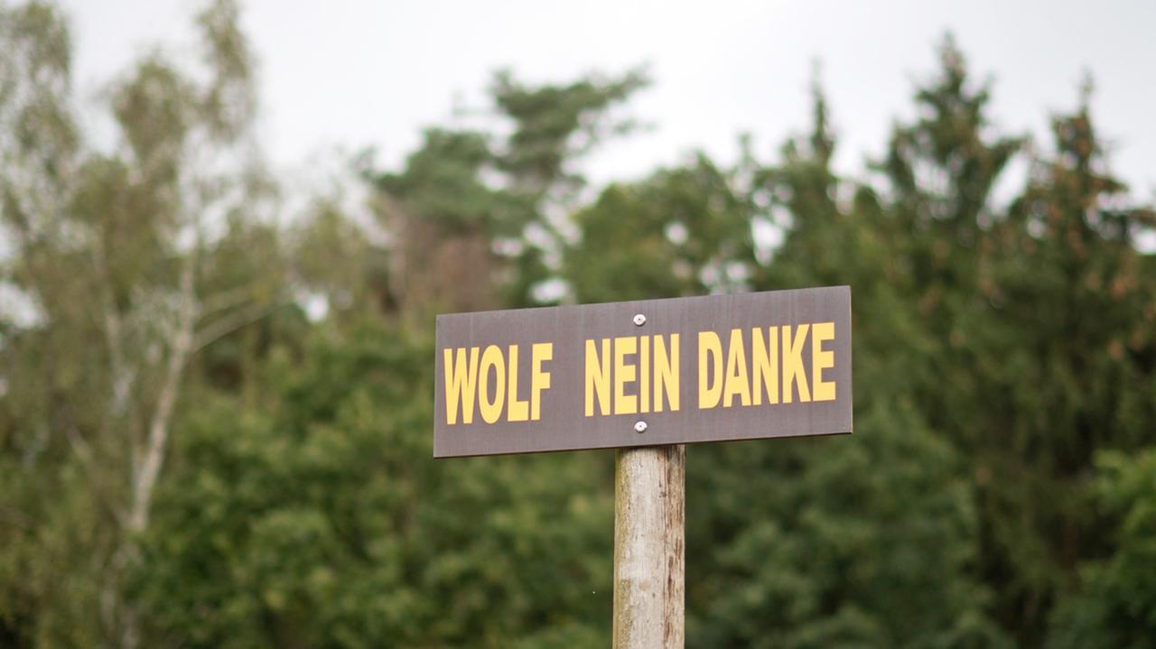 Ein Protestschild "Wolf Nein Danke" steht am 28.09.2016 auf einer Wiese an der Autobahn A27 bei Verden in Niedersachsen. Ein Protestschild "Wolf Nein Danke" steht am 28.09.2016 auf einer Wiese an der Autobahn A27 bei Verden in Niedersachsen.