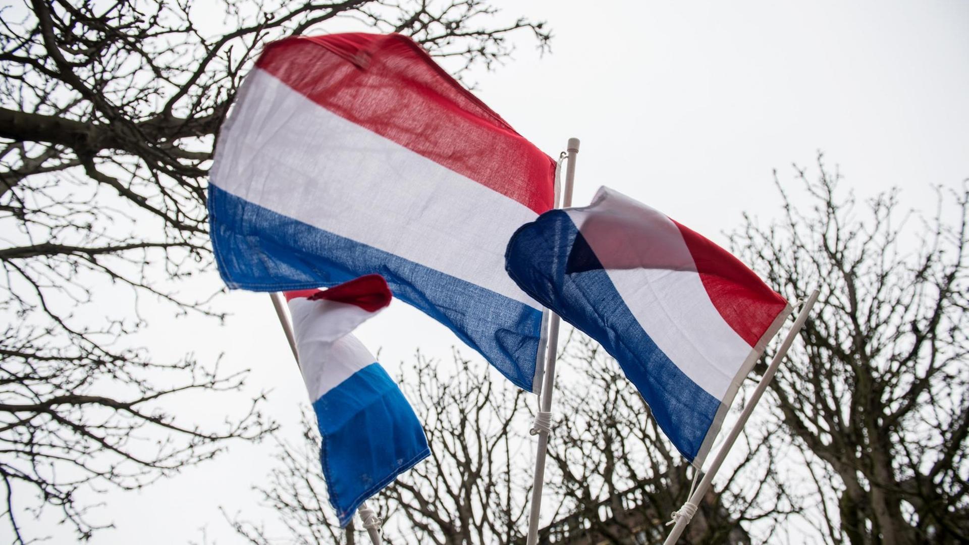 Niederländische Flaggen wehen in Den Haag Niederländische Flaggen wehen in Den Haag