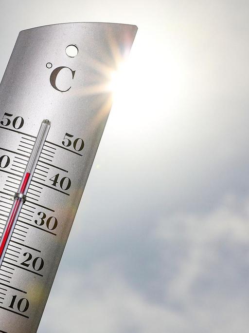 26.07.2019, xmkx, Wetter Hitzewelle in Deutschland, Thermometer mit 41 Grad | Verwendung weltweit
