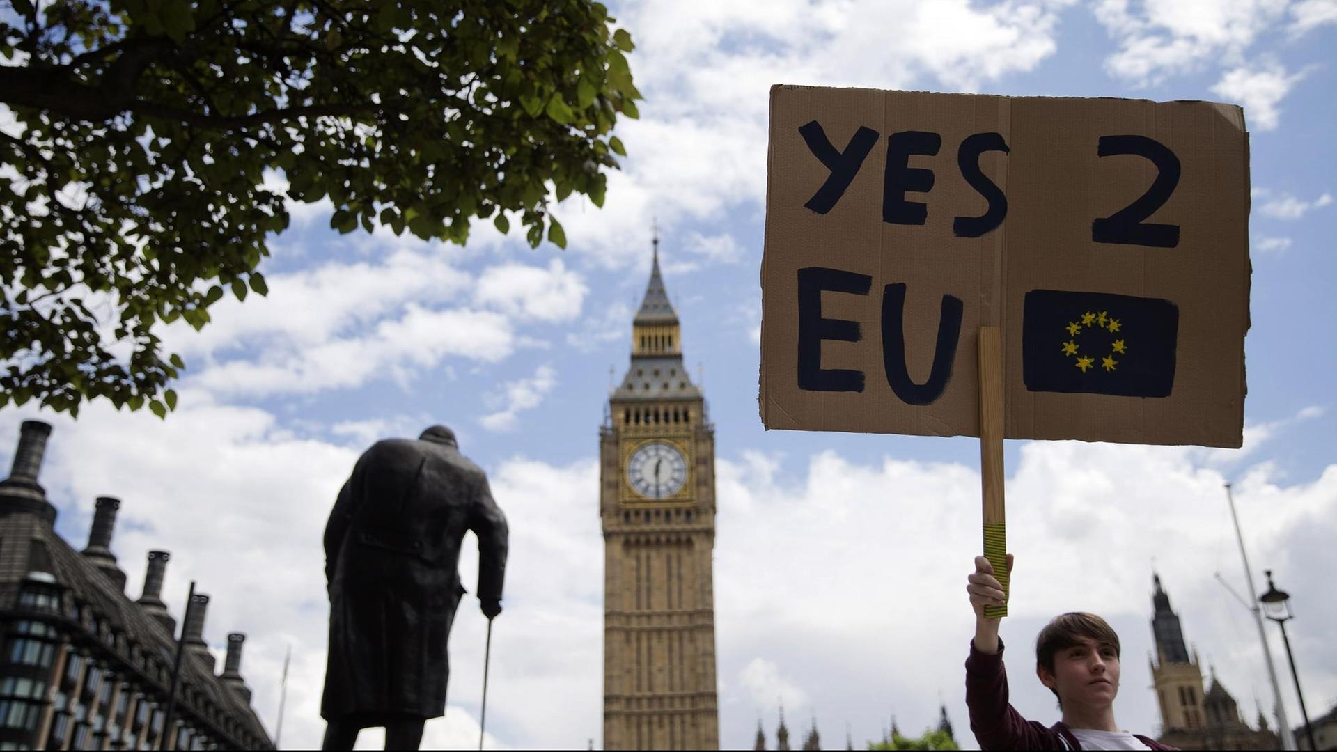 Ein Demonstrant hält ein Schild gegen den Brexit hoch. Ein Demonstrant hält ein Schild gegen den Brexit hoch.