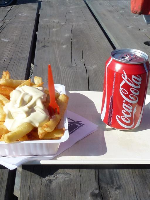 Belgische Pommes Frites in einer Schale mit Mayonaise und einer Dose Coca Cola auf einem Tablett, aufgenommen am 08.03.2014 auf einem Rastplatz in Belgien.