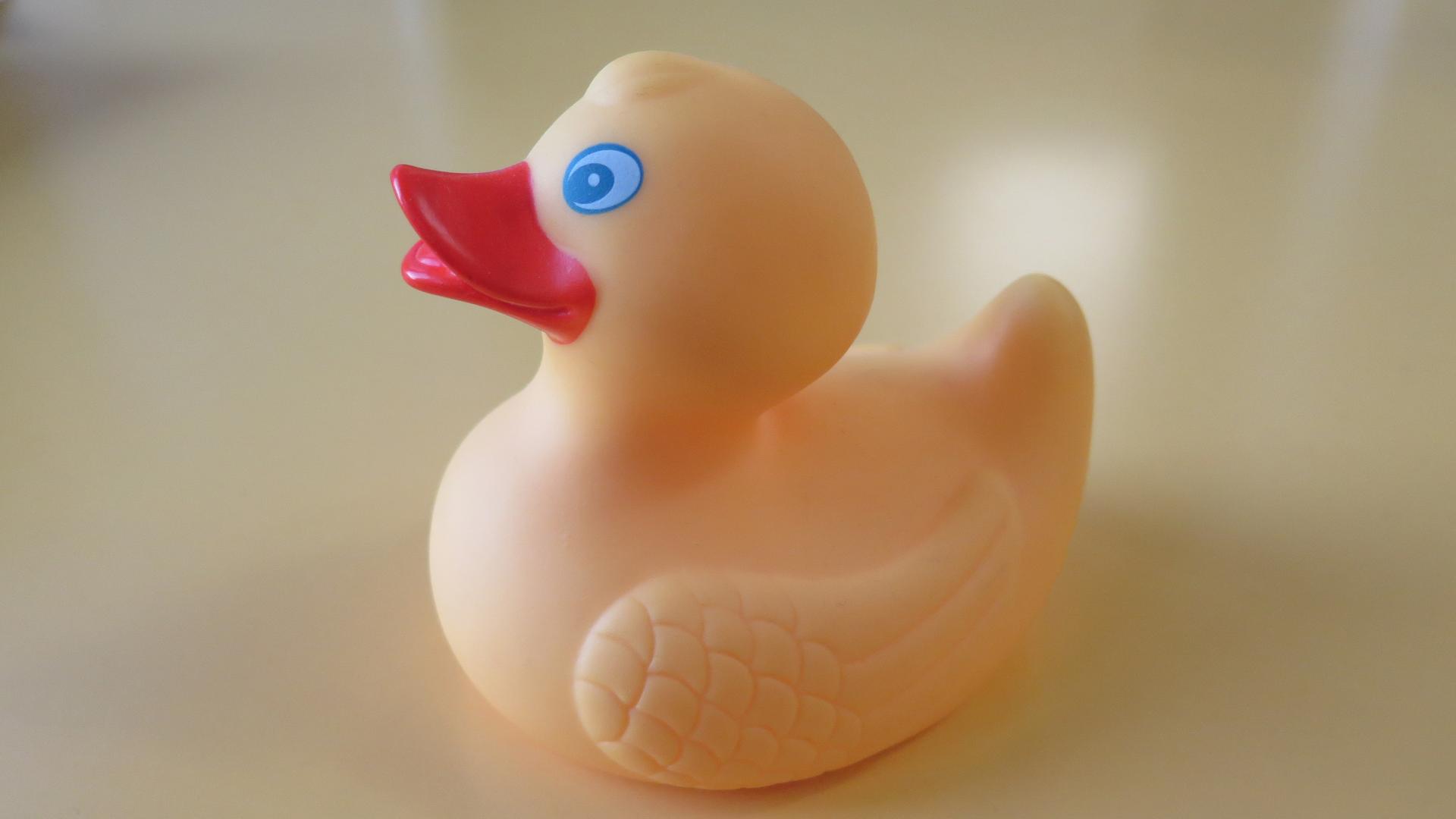 Eine gelbe Badeente Eine gelbe Badeente