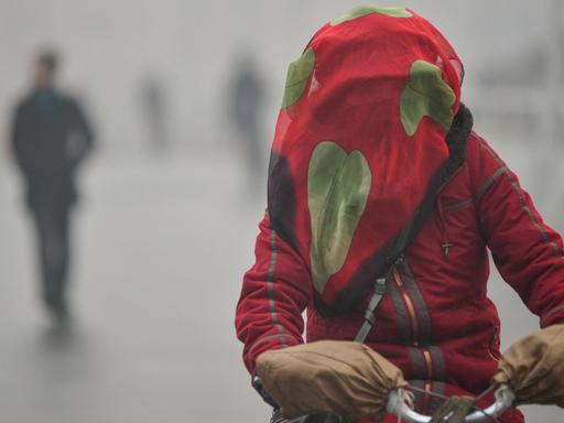 Eine Bewohnerin der chinesischen Stadt Tianjin versucht sich vor dem Smog zu schützen