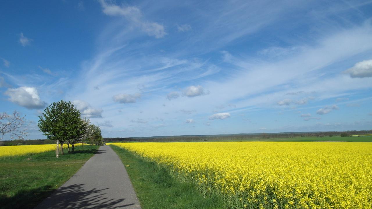 Der Autor Jörn Klare wandert nach Hause - quer durchs Land. Der Autor Jörn Klare wandert nach Hause - quer durchs Land.