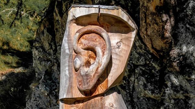 Ein Ohr ist in einen Baumstamm geschnitzt.