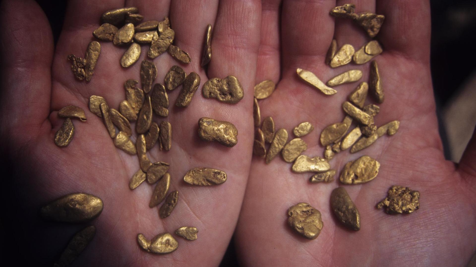 Kleine Goldnuggets liegen auf zwei offenen Handflächen. Kleine Goldnuggets liegen auf zwei offenen Handflächen.