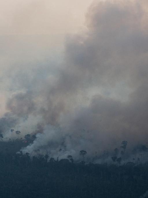 Aufnahmen der Waldbrände im Amazonas-Regenwald.