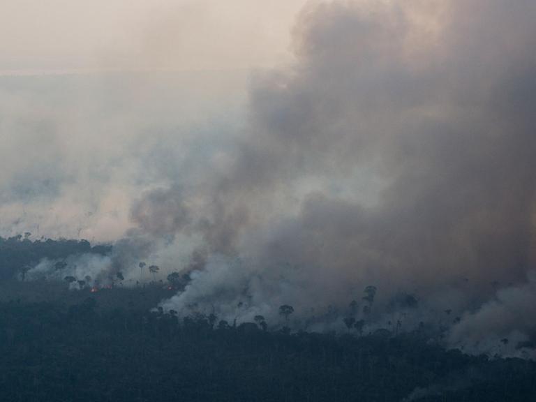 Aufnahmen der Waldbrände im Amazonas-Regenwald.