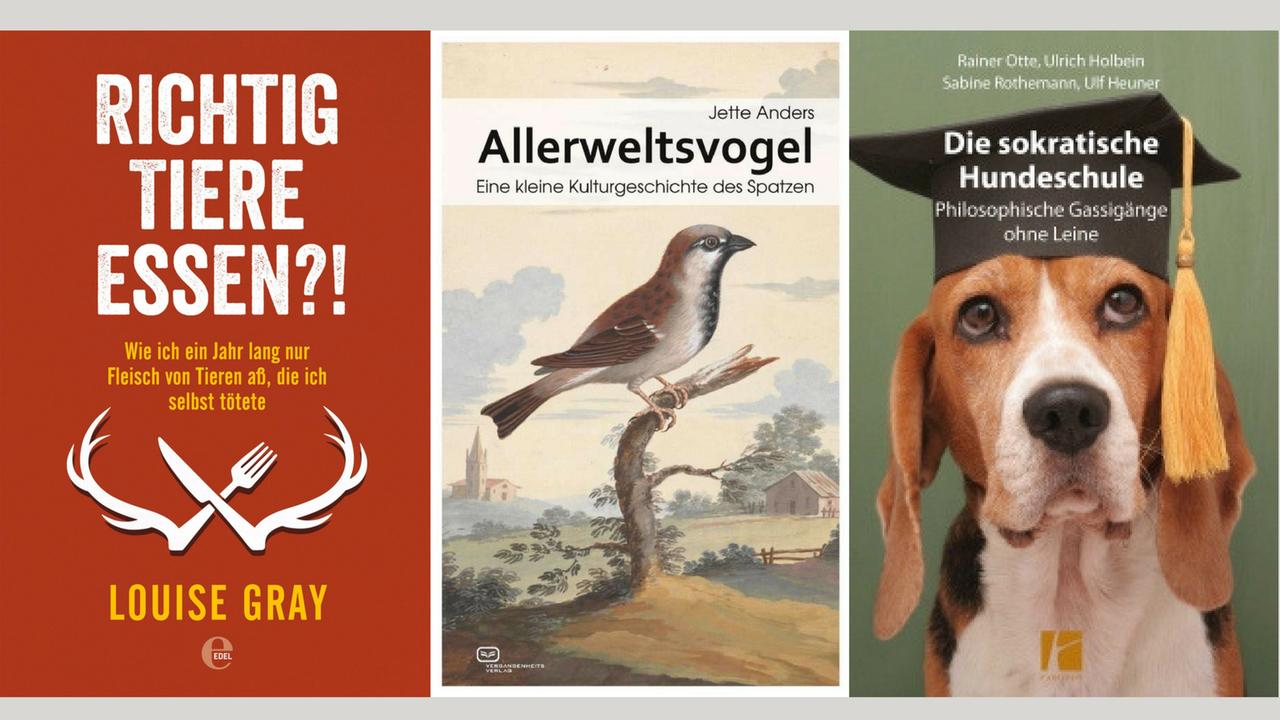 Cover von Louise Gray: "Richtig Tiere essen?! – Wie ich ein Jahr lang nur Fleisch von Tieren aß, die ich selbst tötete"; Jette Anders: "Allerweltsvogel – Eine kleine Kulturgeschichte des Spatzen"; Rainer Otte, Ulrich Holbein, Sabine Rothemann, Ulf Heuner: "Die sokratische Hundeschule – Philosophische Gassigänge ohne Leine" Cover von Louise Gray: "Richtig Tiere essen?! – Wie ich ein Jahr lang nur Fleisch von Tieren aß, die ich selbst tötete"; Jette Anders: "Allerweltsvogel – Eine kleine Kulturgeschichte des Spatzen"; Rainer Otte, Ulrich Holbein, Sabine Rothemann, Ulf Heuner: "Die sokratische Hundeschule – Philosophische Gassigänge ohne Leine"