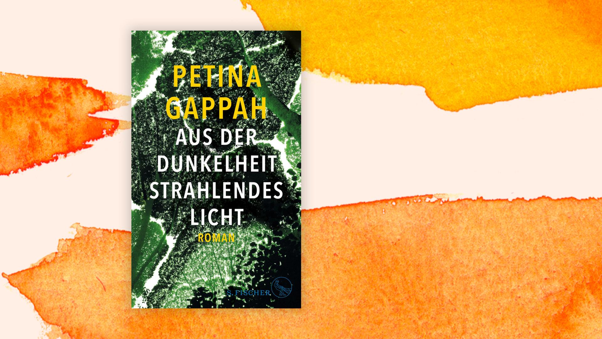 Buchcover von "Aus der Dunkelheit strahlendes Licht" von Petina Gappah Buchcover von "Aus der Dunkelheit strahlendes Licht" von Petina Gappah