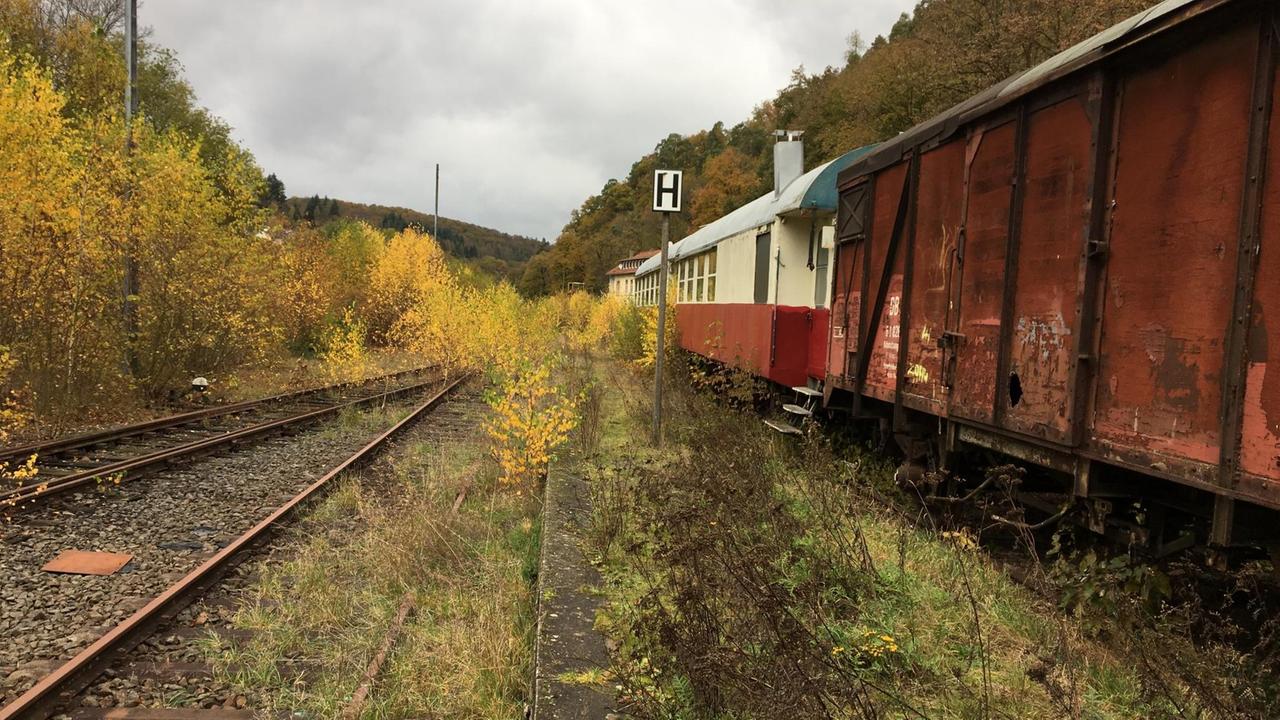 Alte zugewucherte Bahnstrecke, auf der ein paar alte Eisenbahnwagons stehen. Alte zugewucherte Bahnstrecke, auf der ein paar alte Eisenbahnwagons stehen.