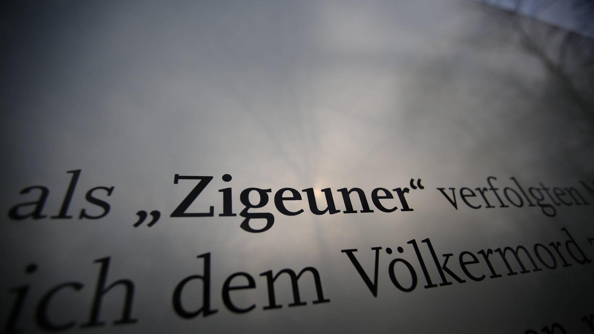 Zigeuner steht auf einer Hinweistafel am Mahnmal, während durch de Glassscheibe die Bäume zu sehen sind. Zigeuner steht auf einer Hinweistafel am Mahnmal, während durch de Glassscheibe die Bäume zu sehen sind.