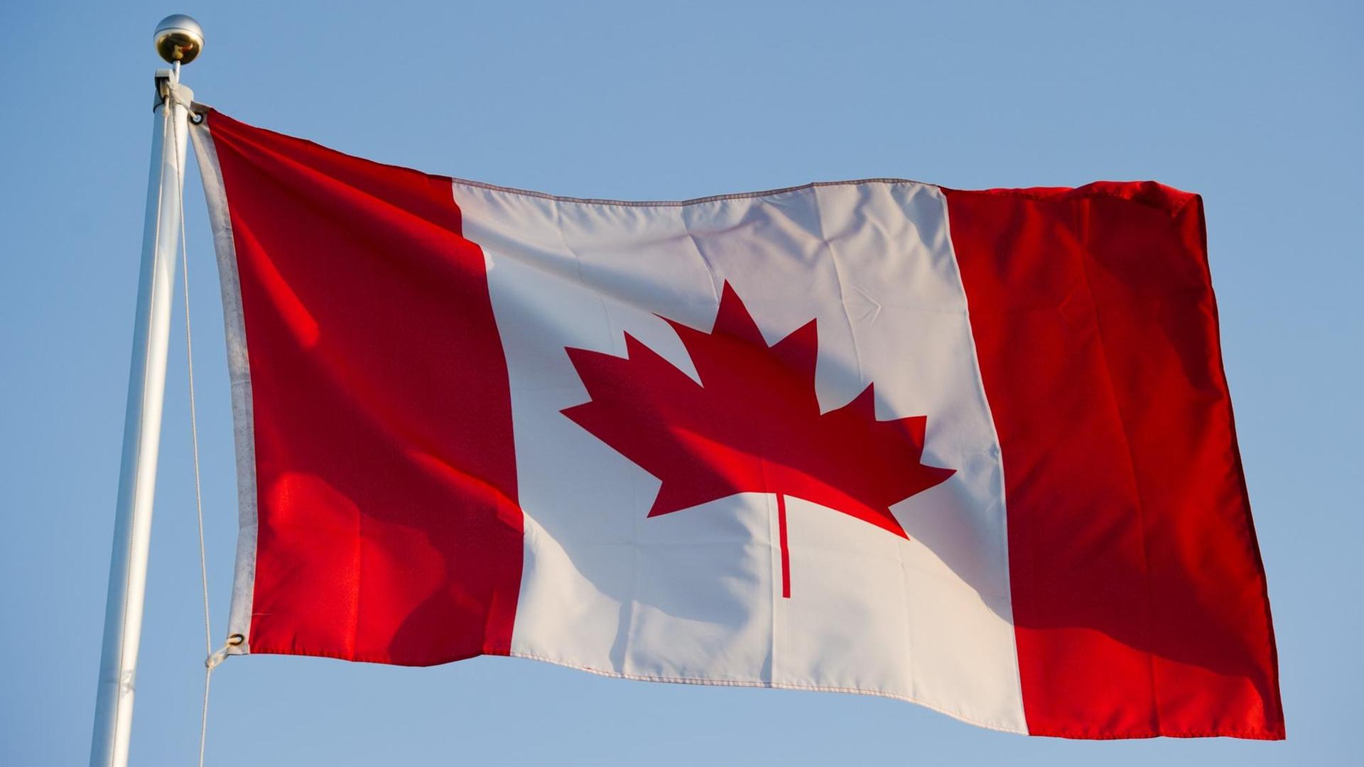 Die Landesfahne von Kanada weht am blauen Himmel Die Landesfahne von Kanada weht am blauen Himmel