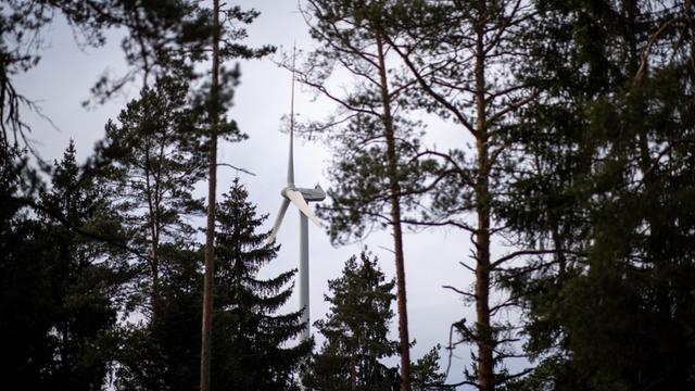 Eine Windkraftanlage steht im Wald nahe dem Creußener Ortsteil Neuhof. Bayerns Wirtschaftsminister und Bayerns Umweltminister haben an der Windenergieanlage in erläutert, wie die Windkraft im Freistaat ausgebaut werden könnte und in welchen Regionen Potenzial liegt.