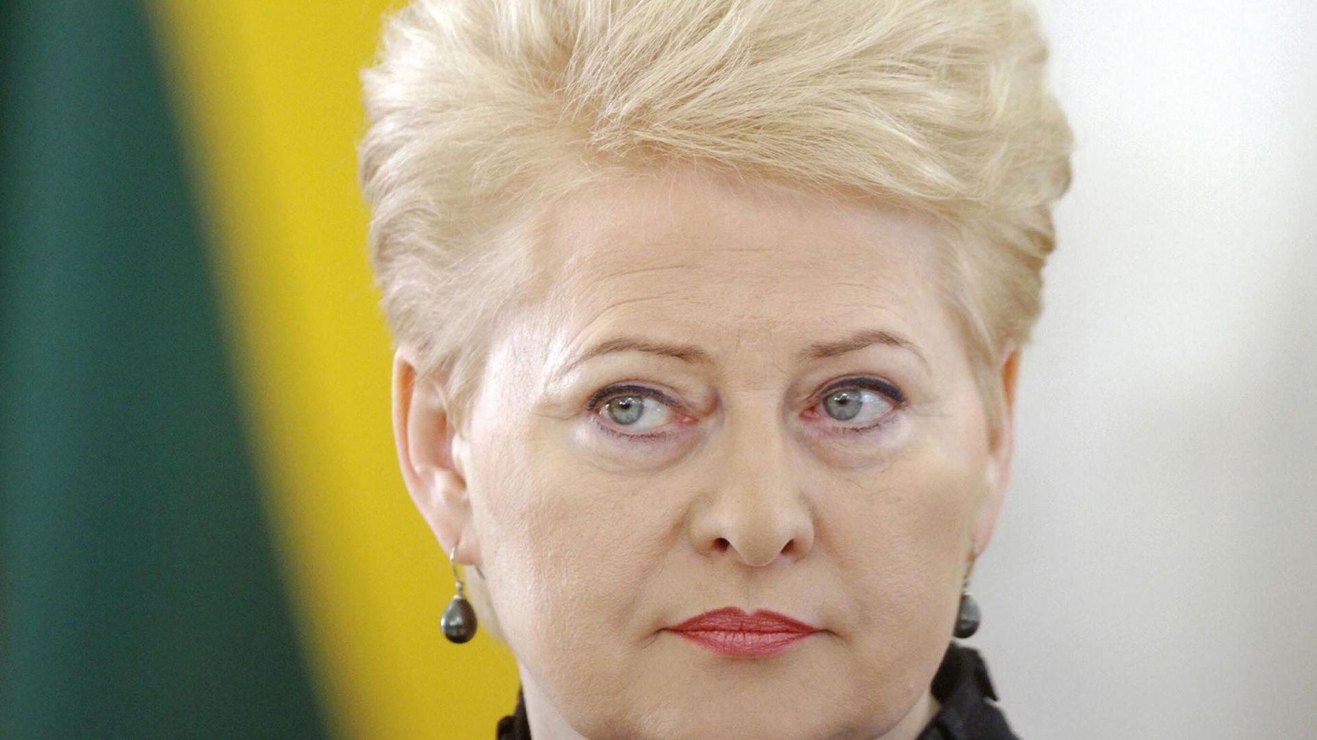 Porträt von Litauens Präsidentin Dalia Grybauskaite Porträt von Litauens Präsidentin Dalia Grybauskaite