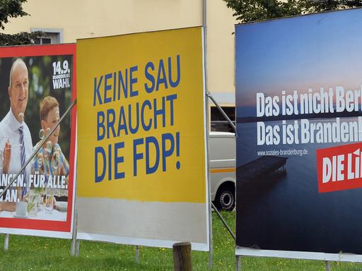 Mit dem selbstironischen Slogan "Keine Sau braucht die FDP" werben die Brandenburger Liberalen zwischen den Plakaten der SPD und der Linken.