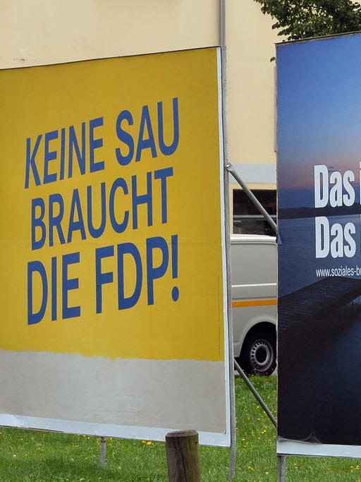 Mit dem selbstironischen Slogan "Keine Sau braucht die FDP" werben die Brandenburger Liberalen zwischen den Plakaten der SPD und der Linken.
