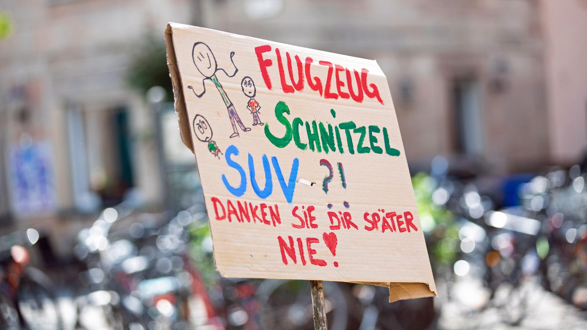 Auf einem Protestschild steht "Flugzeug, Schnitzel, SUV?! Danken sie dir später nie!".