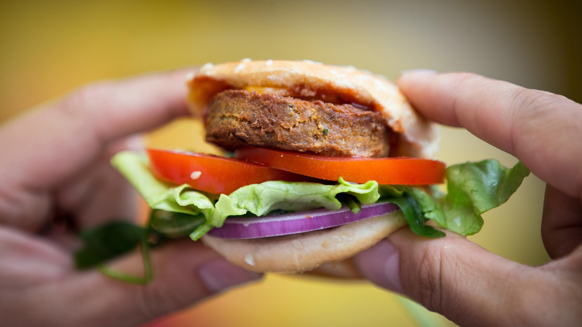 Insekten-Burger kommen gut an - Neugier spielt eine große Rolle. Insekten-Burger kommen gut an - Neugier spielt eine große Rolle.