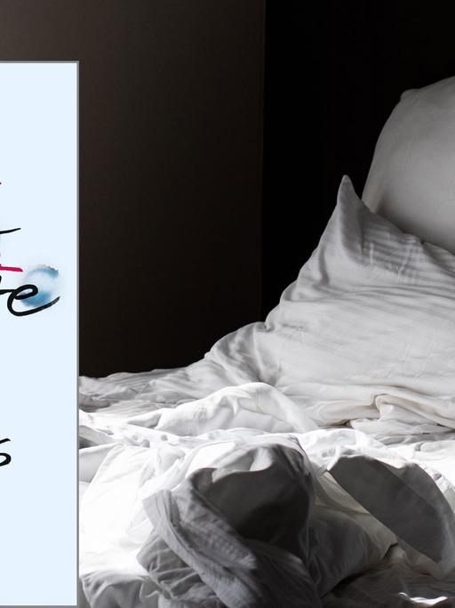 Julian Barnes "Der Mann im roten Rock" Wimmelbild der Belle Époque