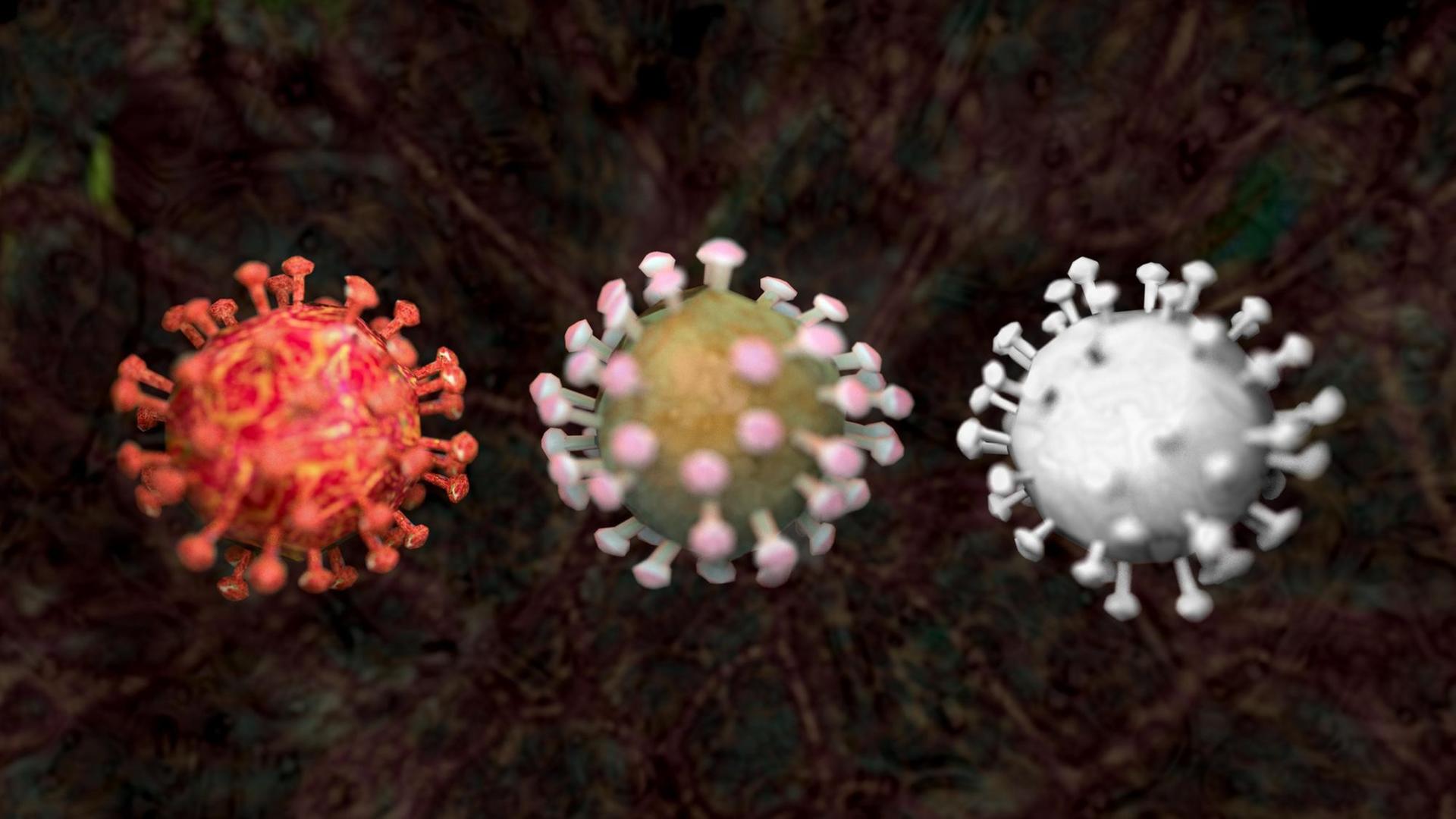 Die Grafik zeigt drei Varianten eines Coronavirus wie des 2020 zur Pandemie gewordenen SARS-CoV-2. Die Grafik zeigt drei Varianten eines Coronavirus wie des 2020 zur Pandemie gewordenen SARS-CoV-2.
