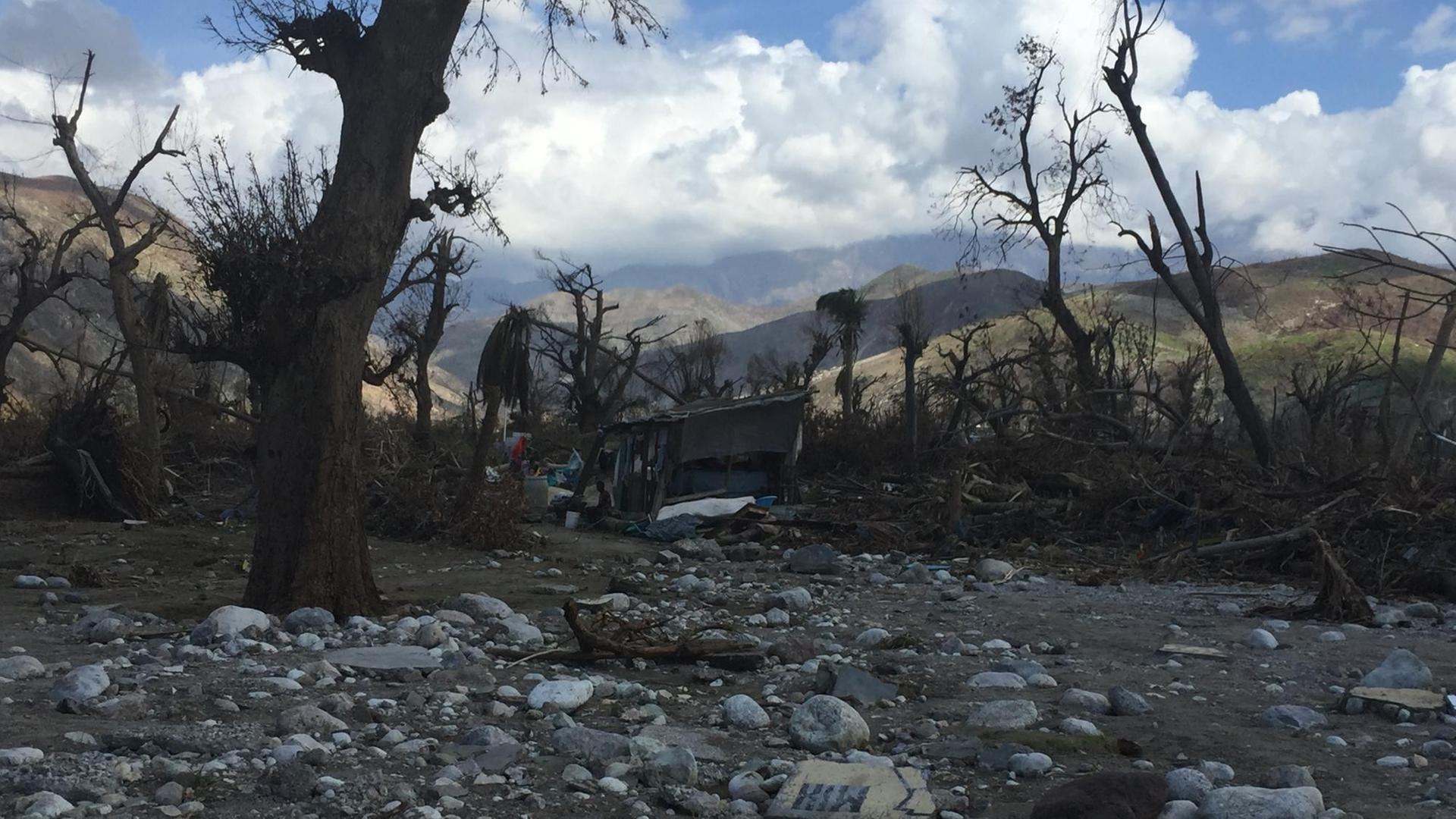 Haiti nach dem Sturm: Zerstörung durch Matthew Haiti nach dem Sturm: Zerstörung durch Matthew