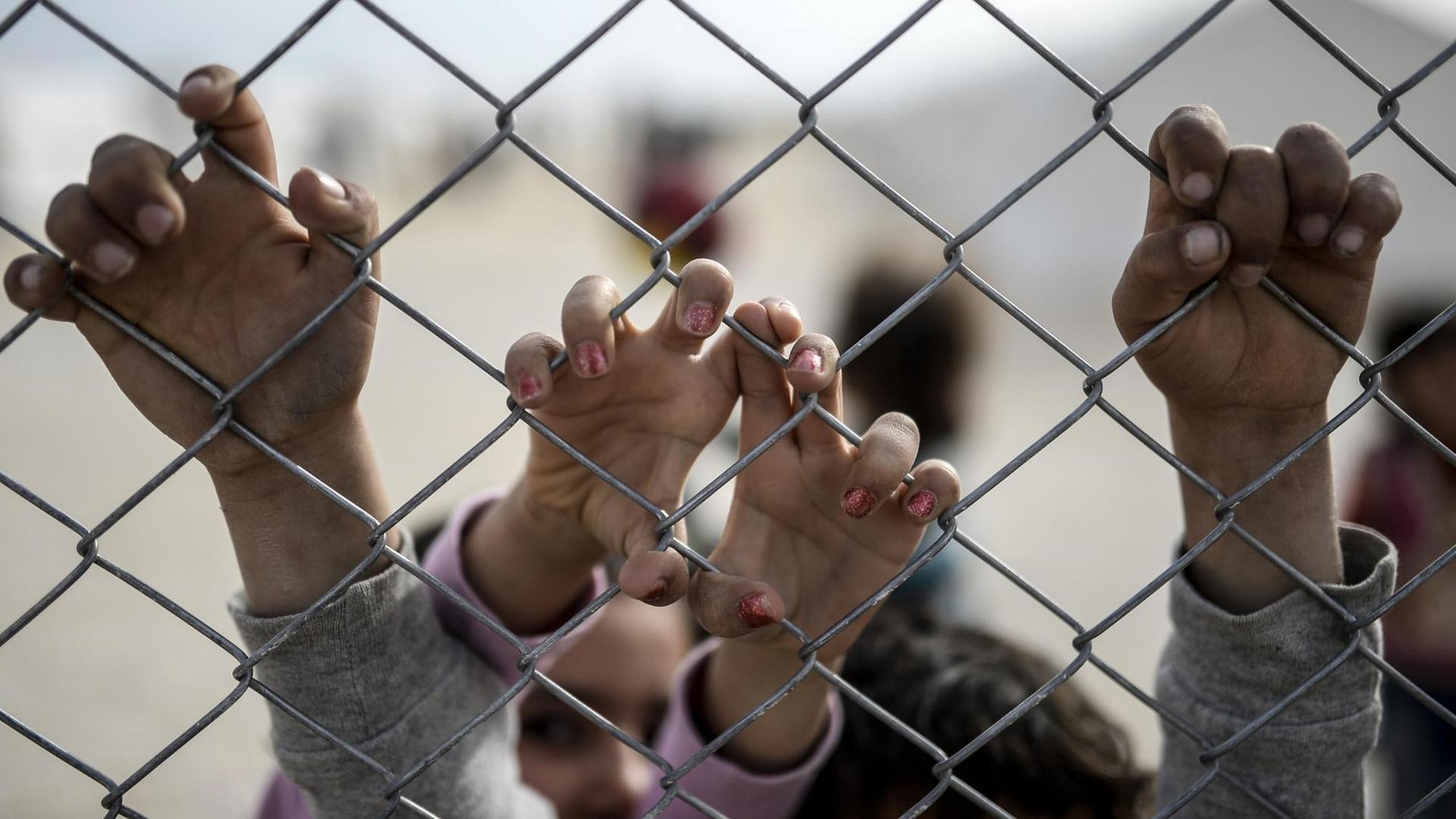 Die Hände syrischer Flüchtlinge greifen an einen Maschendrahtzaun Die Hände syrischer Flüchtlinge greifen an einen Maschendrahtzaun