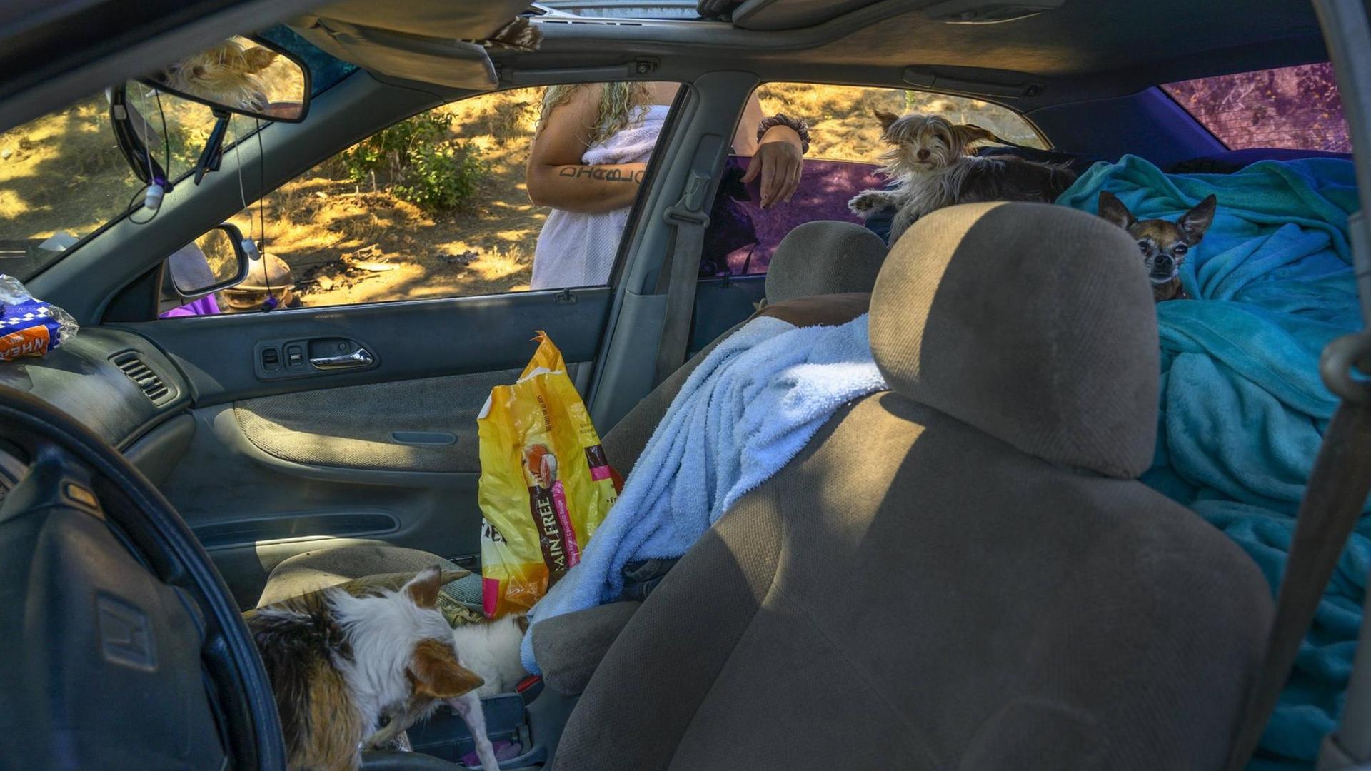 Der Innenraum eines Autos, in dem eine obdachlose Frau lebt. Decken liegen auf der Rückbank. Der Innenraum eines Autos, in dem eine obdachlose Frau lebt. Decken liegen auf der Rückbank.