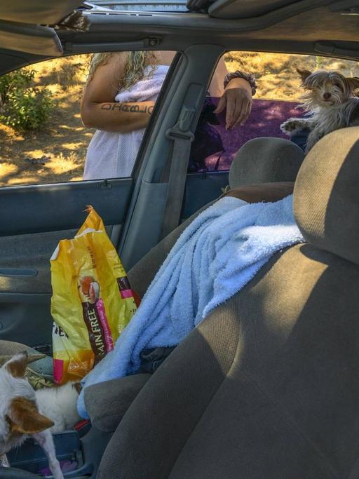 Der Innenraum eines Autos, in dem eine obdachlose Frau lebt. Decken liegen auf der Rückbank.