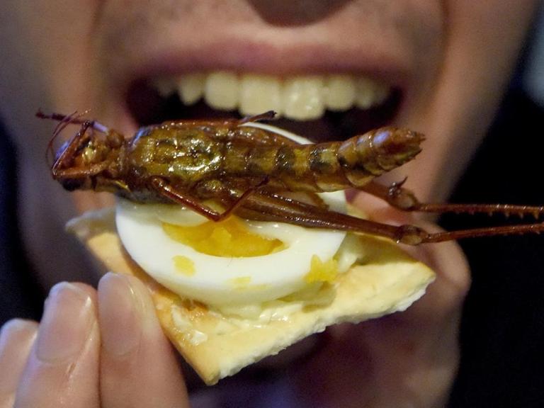 Seiya Takahashi tries to eat a canape with a fried locust during a Christmas event in Tokyo on December 24, 2016. About 35 people took part in the Christmas event, which was organised by a group which enjoys cooking insects and worms. / AFP PHOTO / Toru YAMANAKA