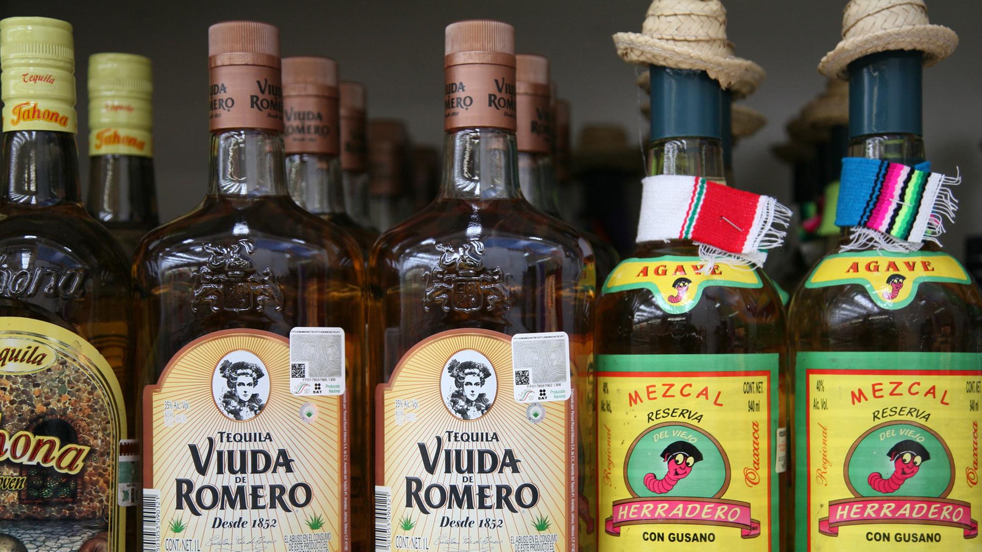Flaschen von Tequila und Mescal in einem Shop in San Miguel de Cozumel, aufgenommen am 08.12.2010. Flaschen von Tequila und Mescal in einem Shop in San Miguel de Cozumel, aufgenommen am 08.12.2010.