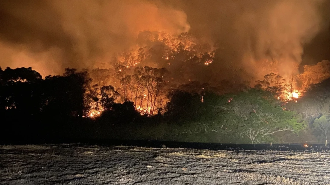 Im Vordergrund verkohlte Erde, dahinter eine Reihe von Büschen, hinter denen sich das Feuer nähert. Im Vordergrund verkohlte Erde, dahinter eine Reihe von Büschen, hinter denen sich das Feuer nähert.