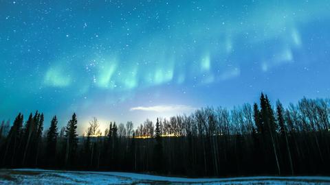 Polarlicht mit Sternen über Alaska, aufgenommen am 20.11.2012 in der Nähe von Fairbanks