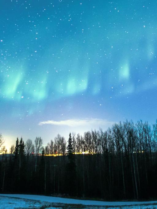 Polarlicht mit Sternen über Alaska, aufgenommen am 20.11.2012 in der Nähe von Fairbanks