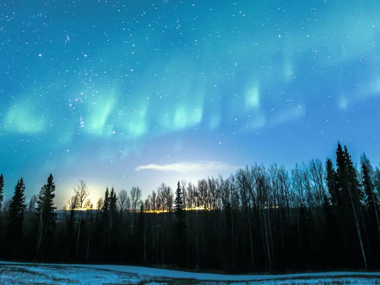 Polarlicht mit Sternen über Alaska, aufgenommen am 20.11.2012 in der Nähe von Fairbanks