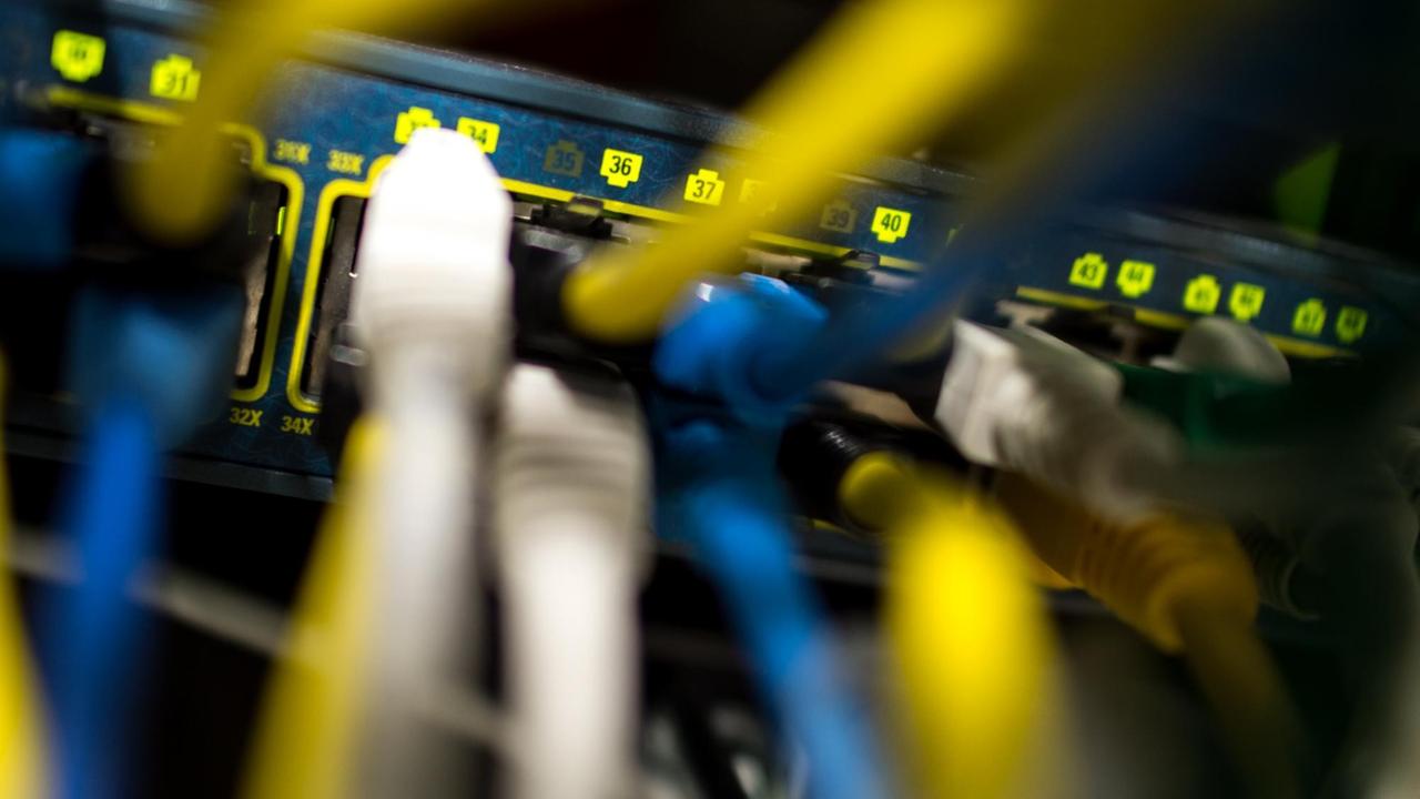 Netzwerkkabel stecken am 16.10.2015 in einem Serverraum in München (Bayern) in einem Switch Netzwerkkabel stecken am 16.10.2015 in einem Serverraum in München (Bayern) in einem Switch