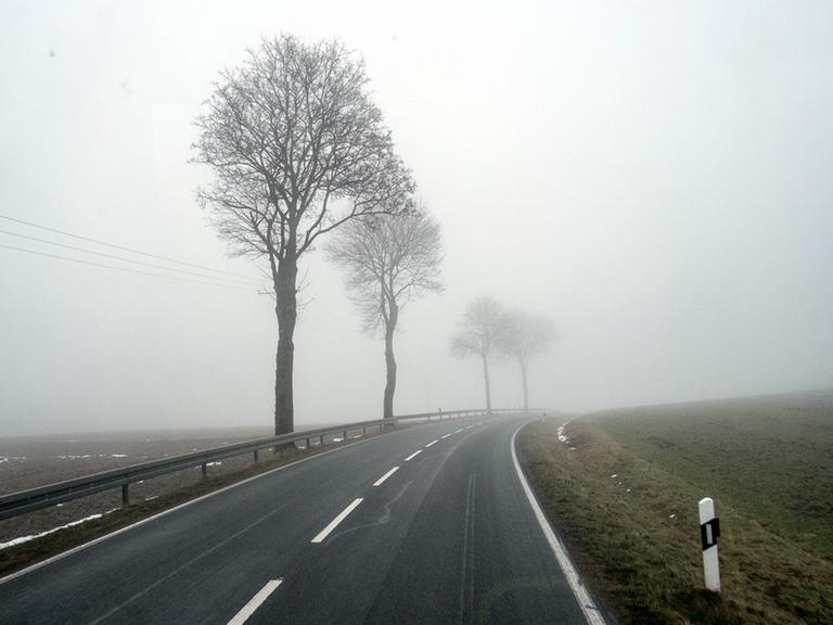 Hochnebel im Sauerland Hochnebel im Sauerland