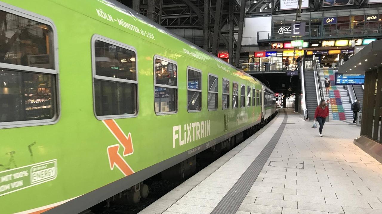 Ein grüner Zug der Firma Flixtrain steht im Gleisbett.
